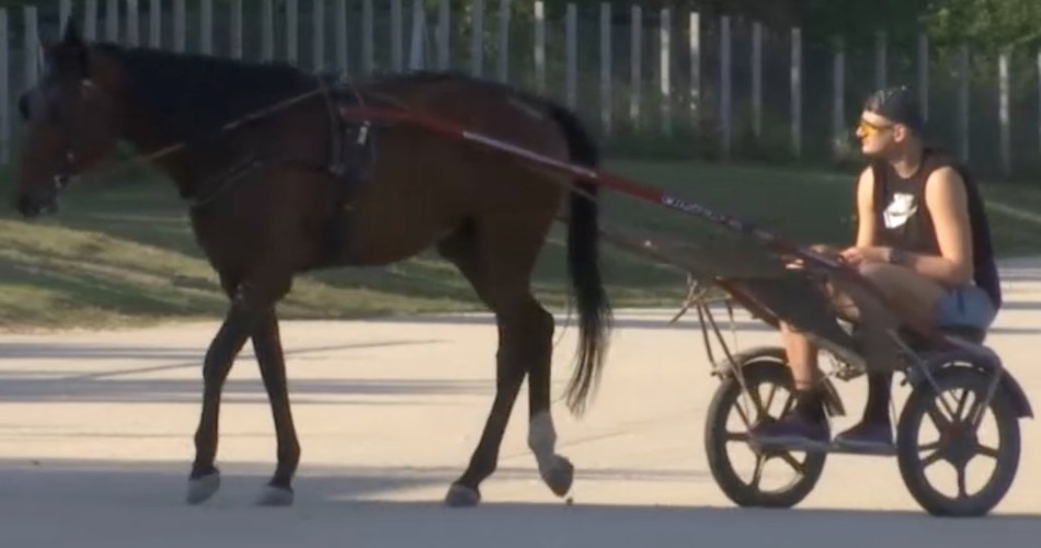 KillaNomics NBDL Preseason Rankings: Tier&nbsp;1